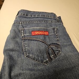 Women's Vintage Sasson Jeans with Red Logo